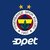 Fenerbahçe Opet'te üç transfer daha!