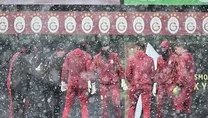 Aslan zoru sever