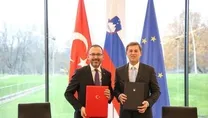 Tesisleşme devrimi