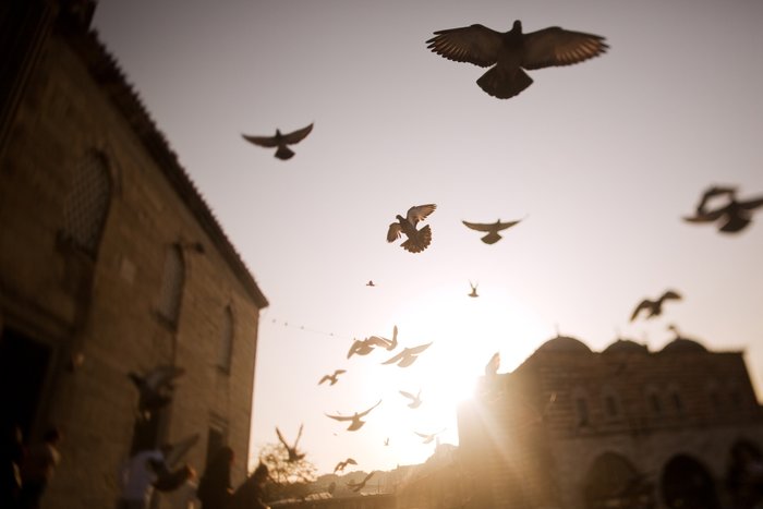 cuma-hutbesi-24-ekim-2025-cuma-hutbesi-konusu-ne-pdf-indir-dinle-1761282916546.jpg 31 Ekim Cuma hutbesi konusu