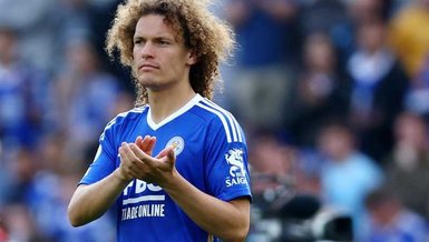 Wout Faes hamlesi
