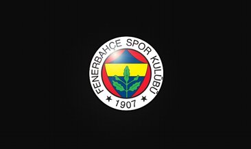 Fenerbahçe'de 15 milyon Euro'luk kayıp Merih Demiral!