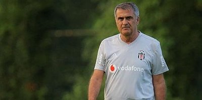 Şenol Güneş: Negredo ve Love gidecek