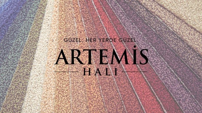 artemis-hali-halka-arz-artms-halka-arz-talep-toplama-tarihleri-esit-mi-oransal-mi-kac-lot-verir-hangi-bankalar-1708938412639.jpeg