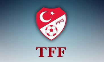 TFF 2018-2019 sezonu profesyonel liglerini tescil ettiğini açıkladı