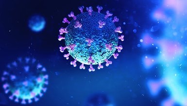 Bandırmaspor'da iki futbolcuda corona virüsü tespit edildi