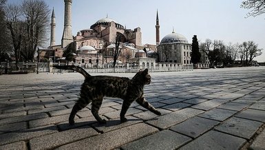 İşte sokağa çıkma yasağı olan iller!