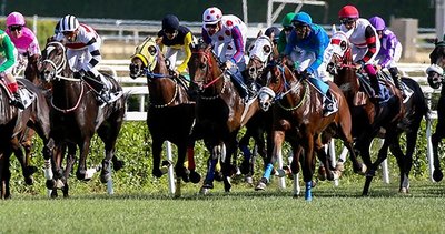 Şampiyon The Last Romance