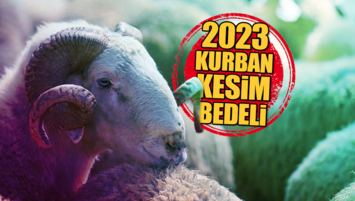 KURBAN KESİM BEDELİ NE KADAR?