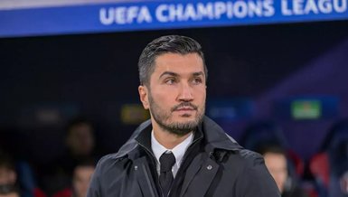 Şahin sesleri