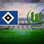 Hamburg Wolfsburg maçı CANLI izle!