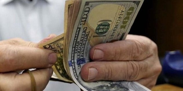 dolar ne olur